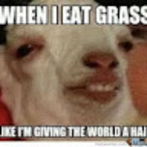 Meet your Posher, Sydney